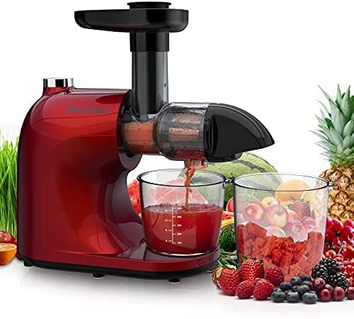 Juicer Machines, Cold Press Juicer Machine Slow Juicer with Total Pulp Control and Easy Clean, Masticating Juicers with 2-Speed Modes, with Reverse Function & Quiet Motor for Vegetables And Fruits